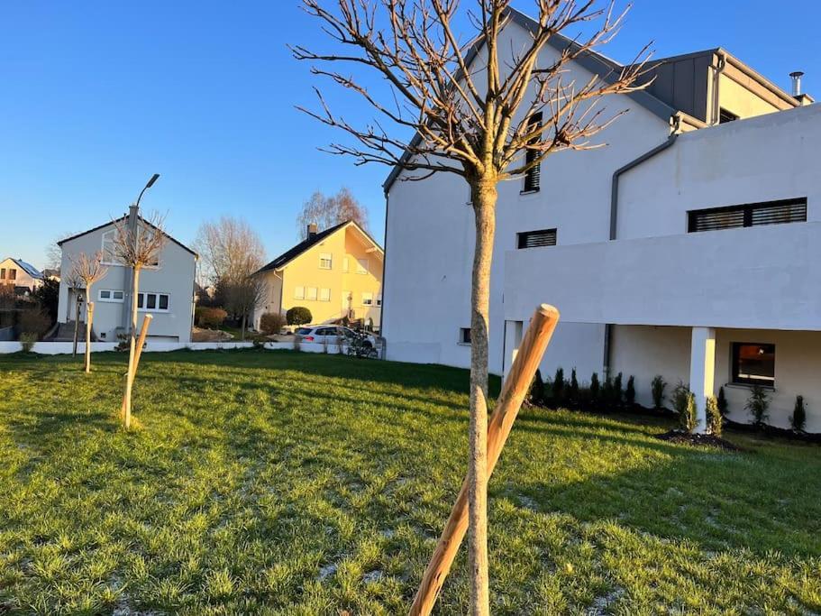 Maison Petite Suisse Luxembourg Berdorf Extérieur photo